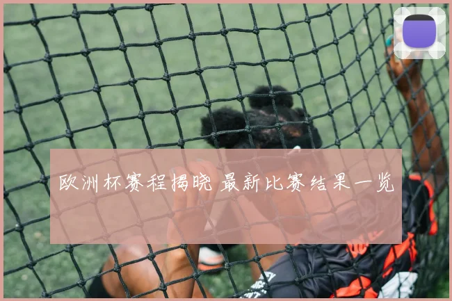 欧洲杯赛程揭晓 最新比赛结果一览