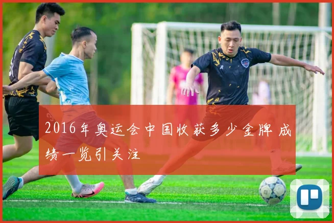 2016年奥运会中国收获多少金牌 成绩一览引关注