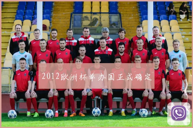 2012欧洲杯举办国正式确定