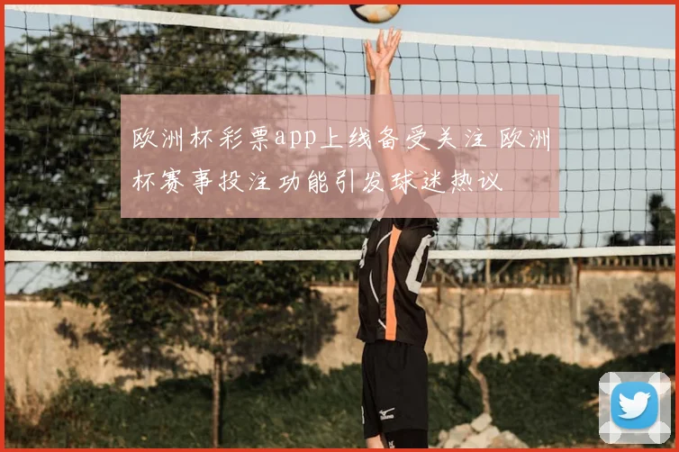 欧洲杯彩票app上线备受关注 欧洲杯赛事投注功能引发球迷热议