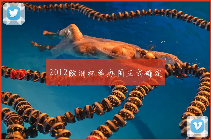 2012欧洲杯举办国正式确定