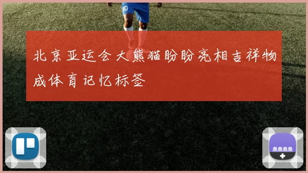 北京亚运会大熊猫盼盼亮相吉祥物成体育记忆标签