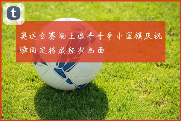 奥运会赛场上选手手举小国旗庆祝瞬间定格成经典画面