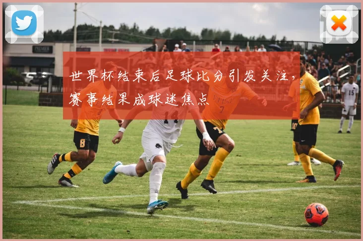 世界杯结束后足球比分引发关注,赛事结果成球迷焦点